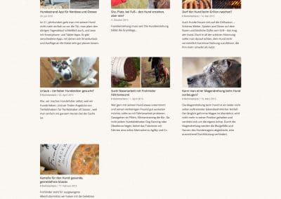 Frohlinder Website Tipps Archive Frohlinder Hundenahrung